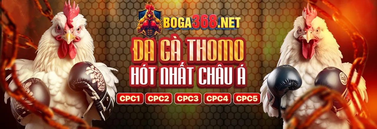 Hoàn trả tiền gửi hàng ngày ebet4 đăng nhập